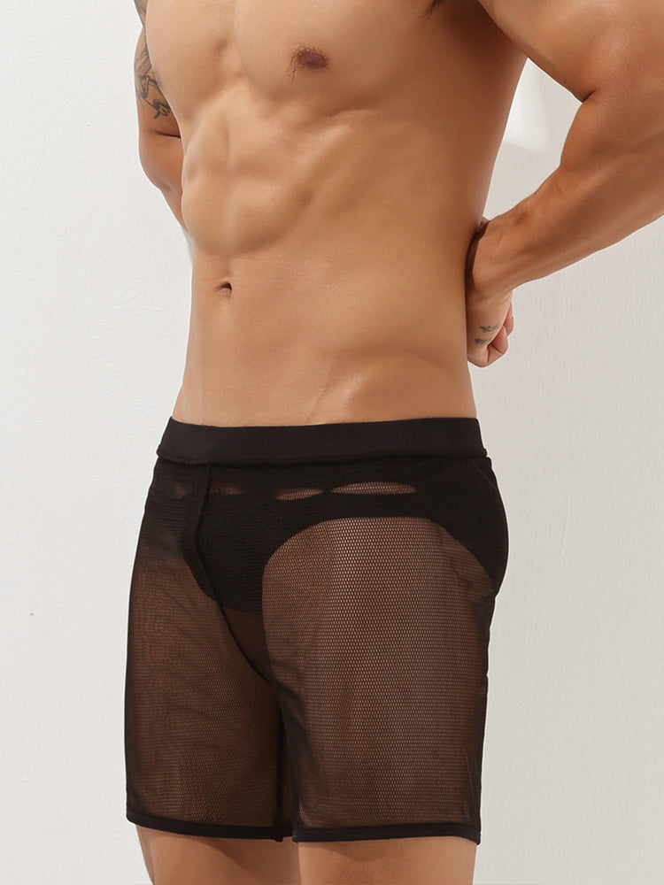 Men's Sexy See Through Mesh Boxer Shorts