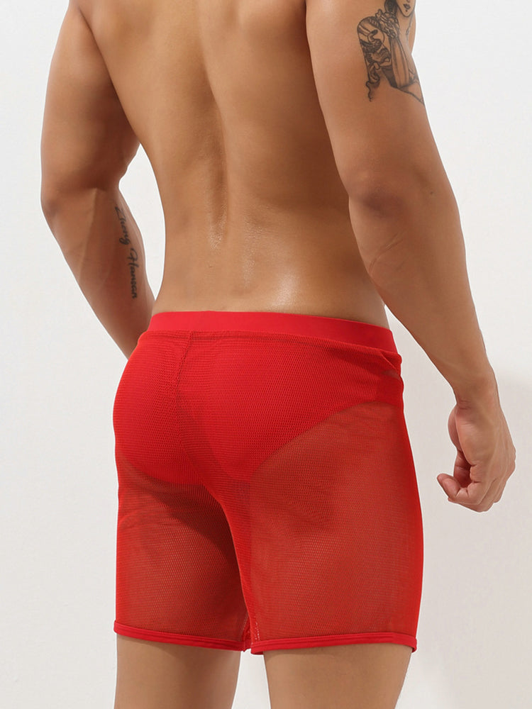 Men's Sexy See Through Mesh Boxer Shorts