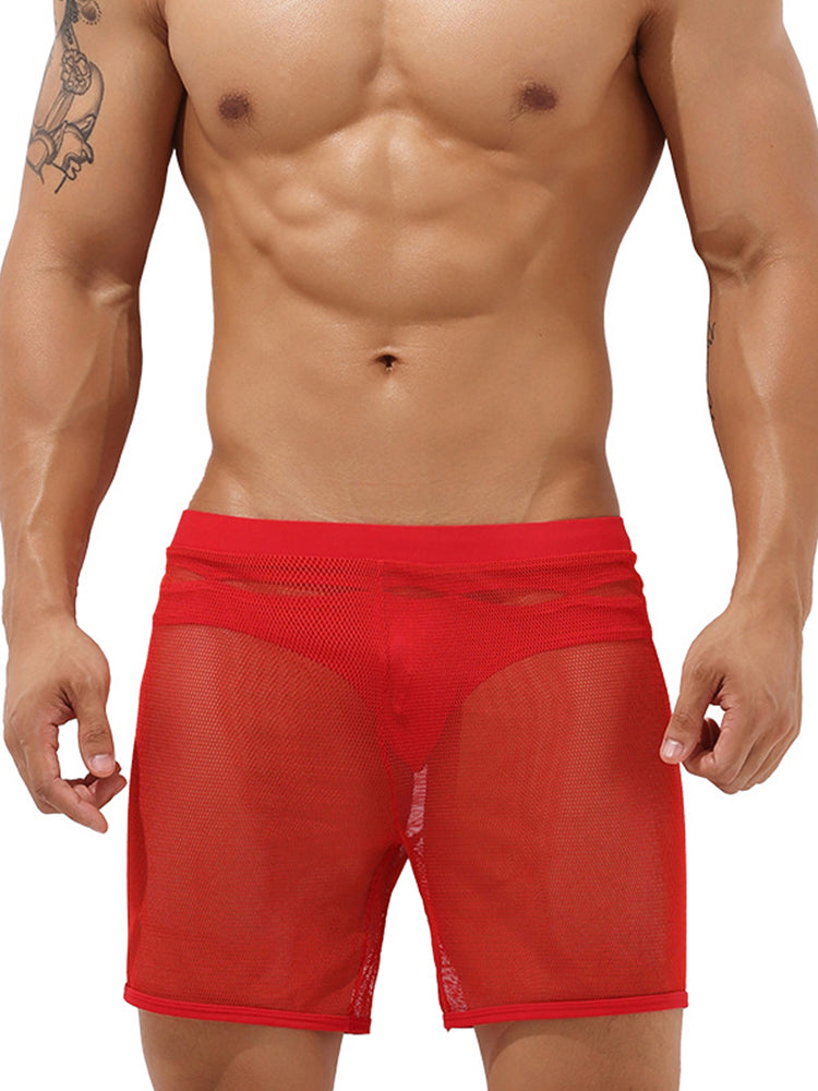 Men's Sexy See Through Mesh Boxer Shorts