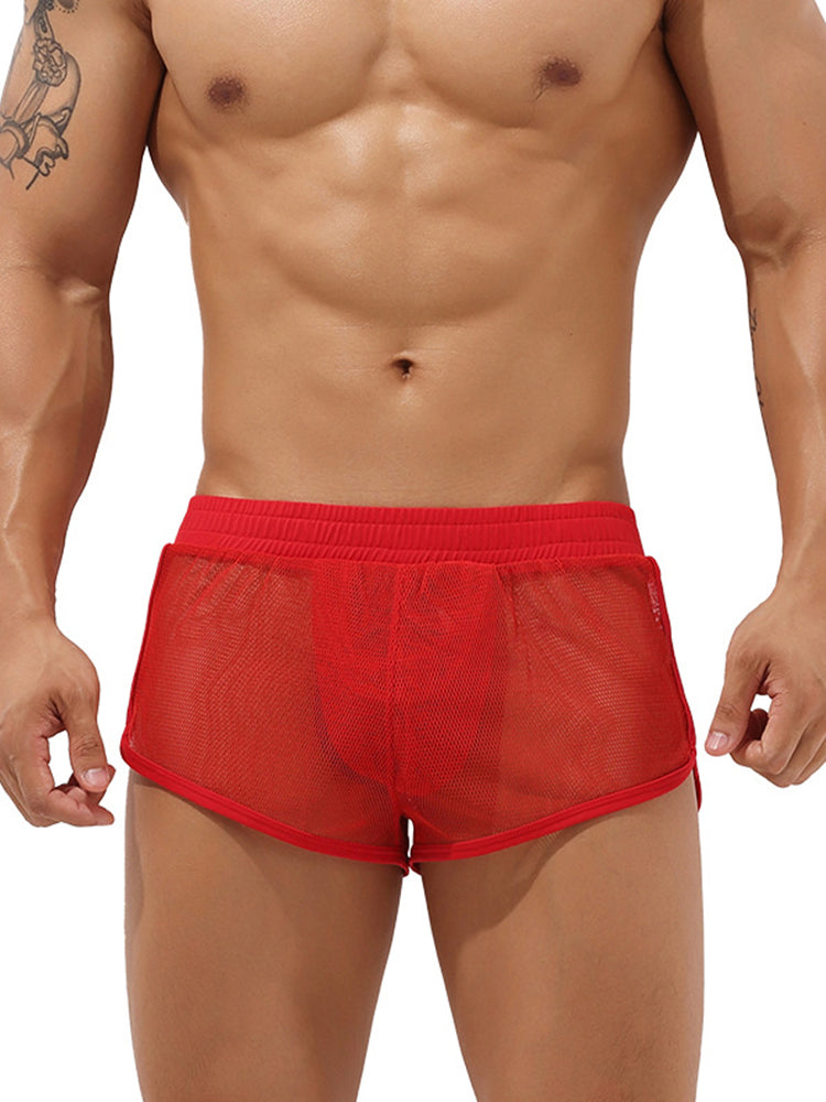 Men's Sexy See Through Mesh Boxer Shorts