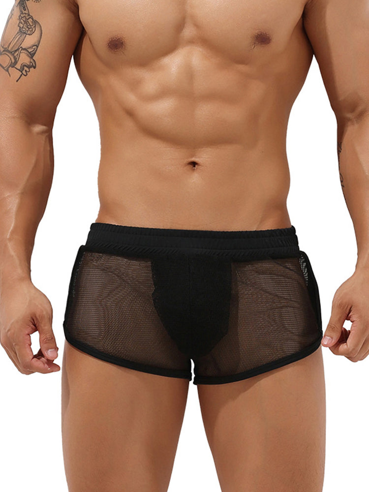 Men's Sexy See Through Mesh Boxer Shorts