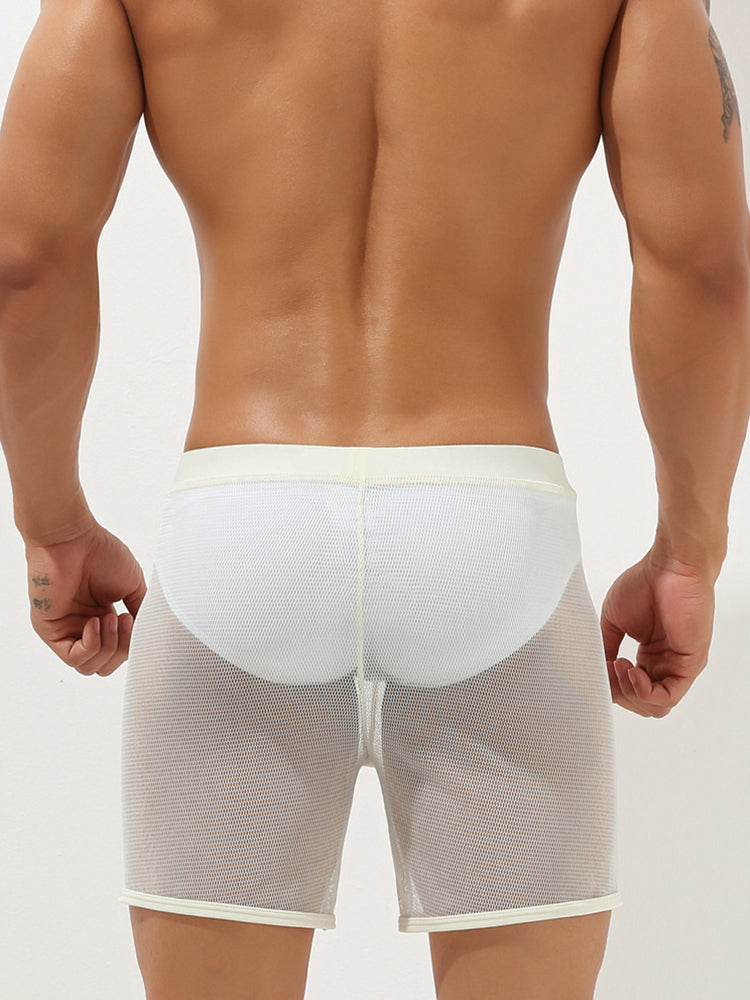 Men's Sexy See Through Mesh Boxer Shorts