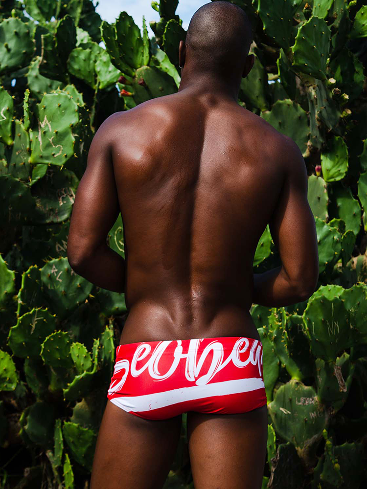 Men's Sexy Low-rise Swim Trunks