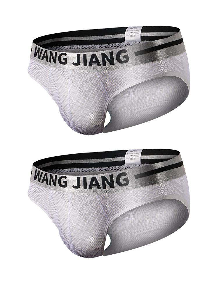 2 Pack Men's Sexy Mesh Sheer Briefs with U-Shaped Pocket