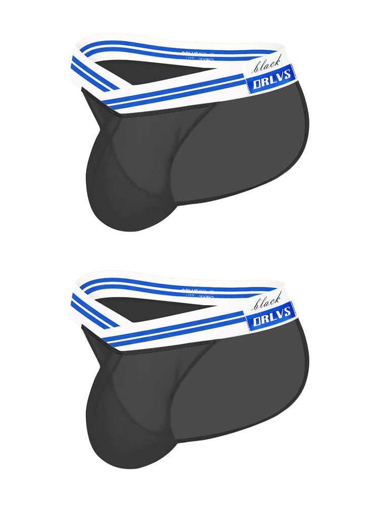 メンズセクシー半透明メッシュブリーフ2枚組