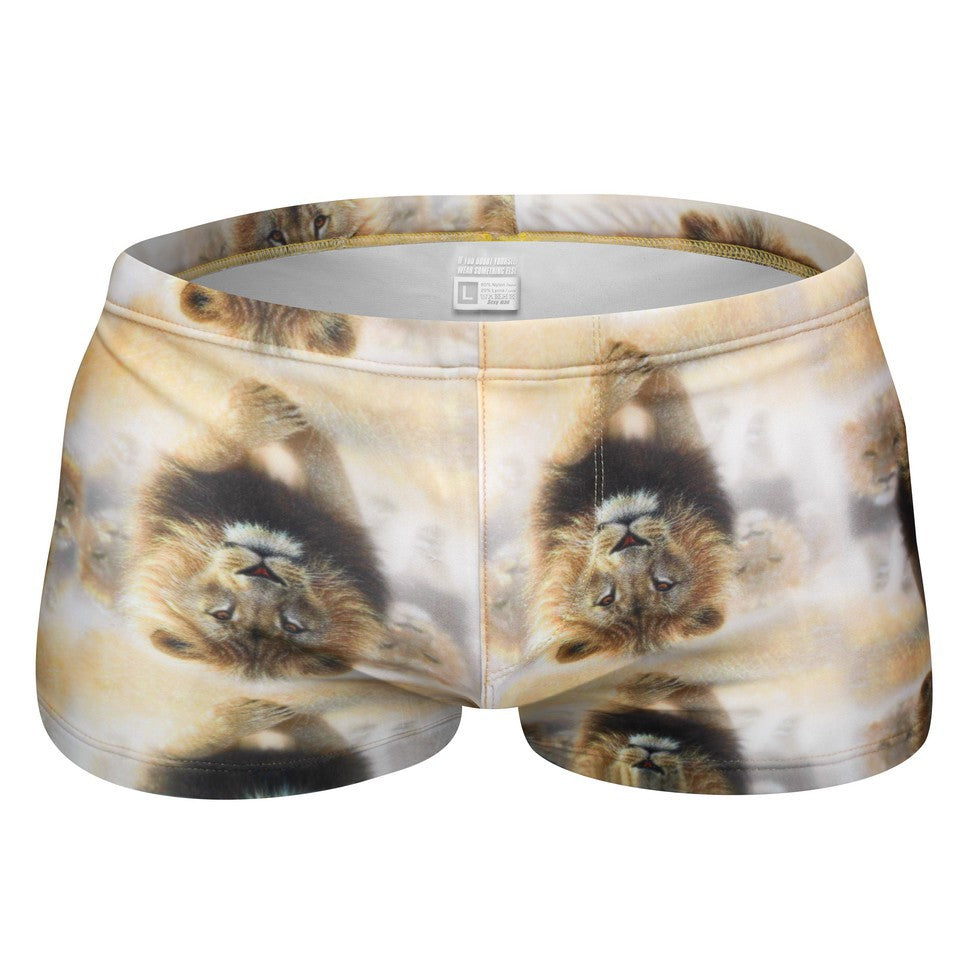 Mens Printed Quick Drying Surf Stretch Swim Trunks