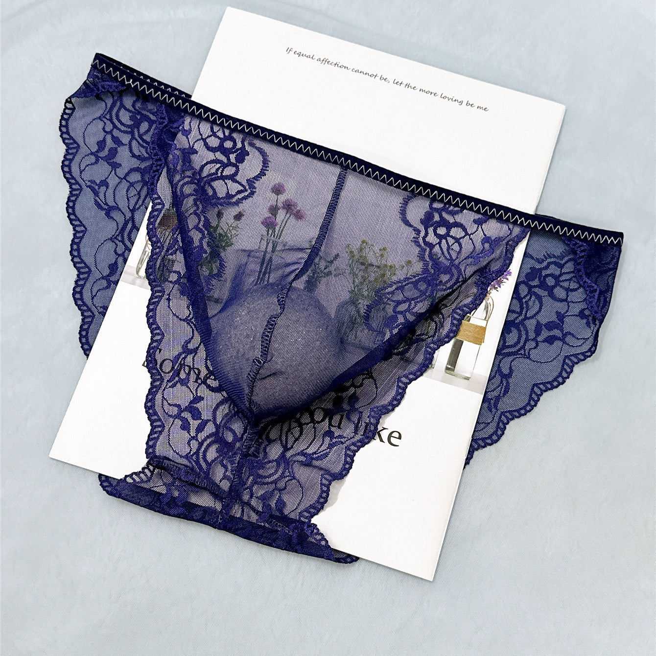 Men's Sexy Lace See Through Sheer Briefs