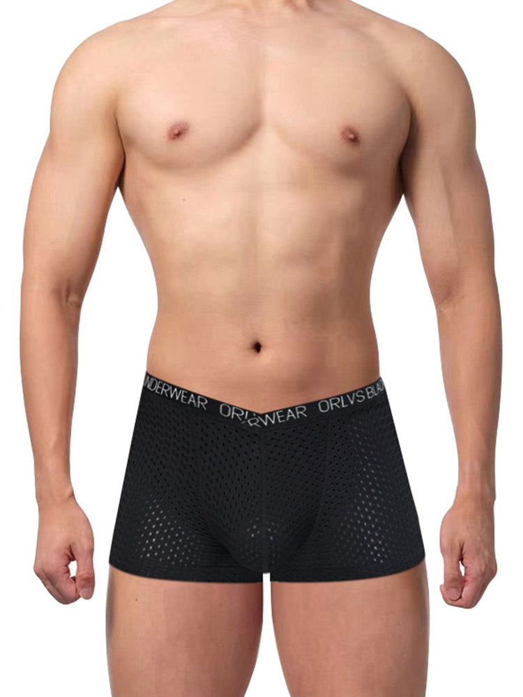 2 Pack Men's Sexy V-shape Waistband Mesh Trunks