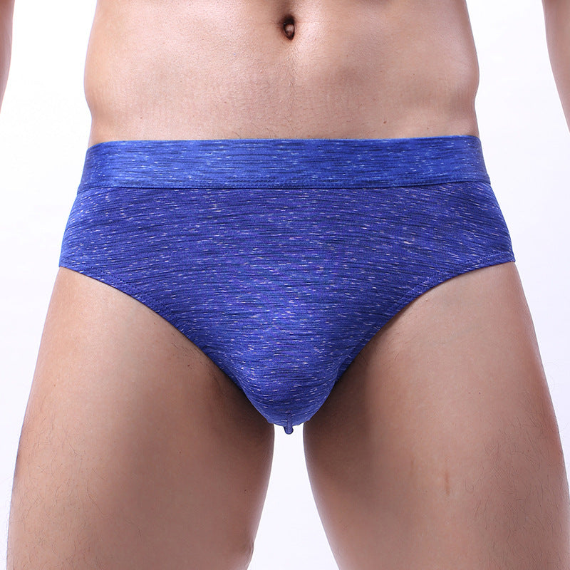 メンズ シルキータッチ ヘルスブリーフ 2枚組