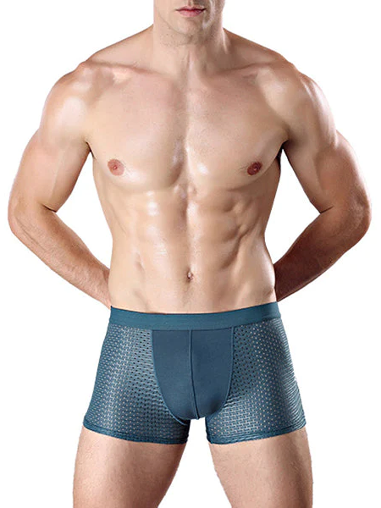 4 Pack Mesh Breathable Ice Silk Underwear Boxer