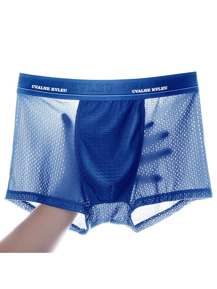 4 Pack Mesh Breathable Ice Silk Underwear Boxer