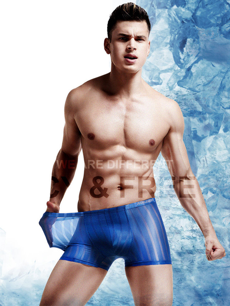3 Pack See Through Breathable Men's Underwear