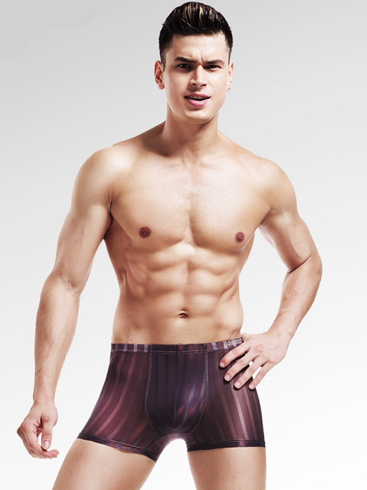 3 Pack See Through Breathable Men's Underwear