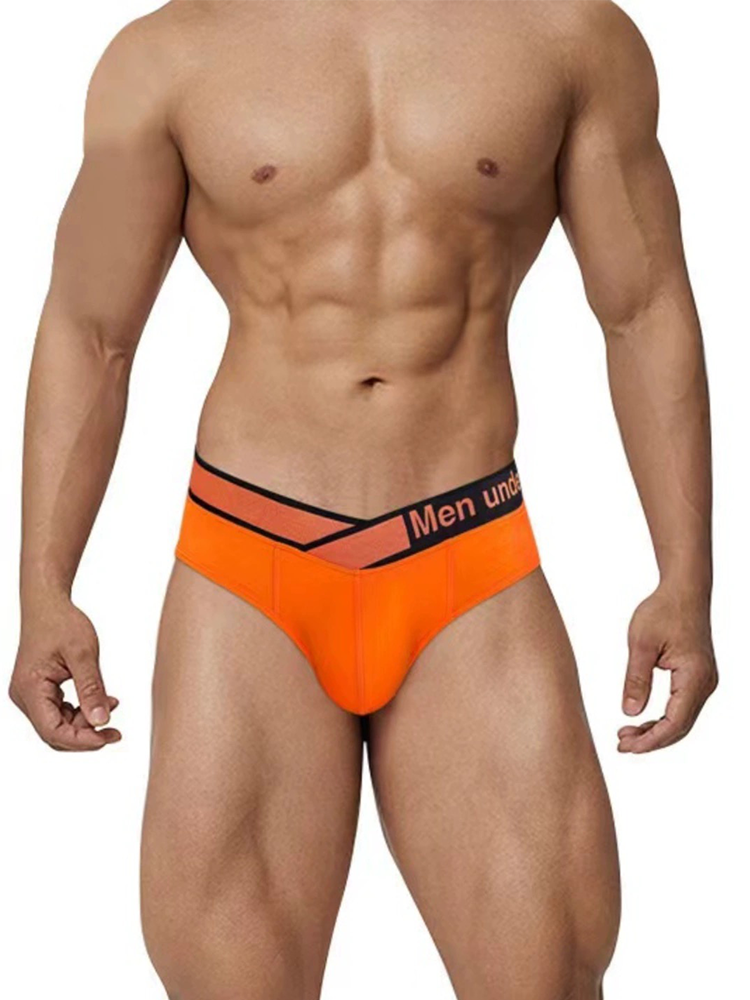 2 Pack Men's Stylish V-Shaped Waistband Briefs
