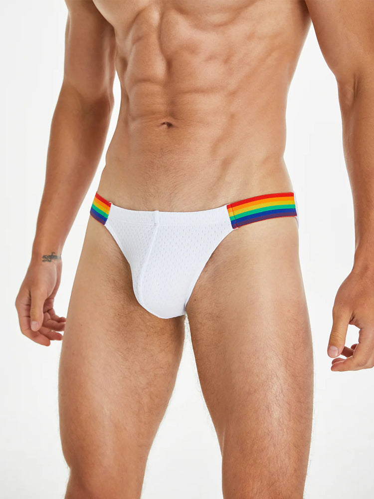 Men's Sexy Rainbow Pride Mesh Bikini