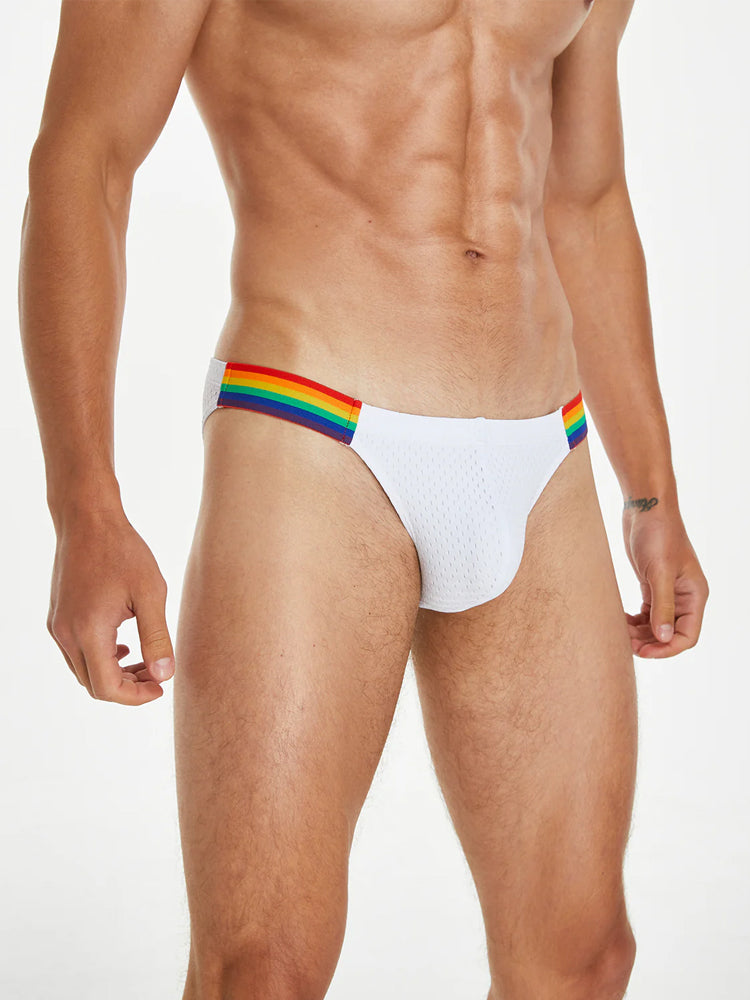 Men's Sexy Rainbow Pride Mesh Bikini
