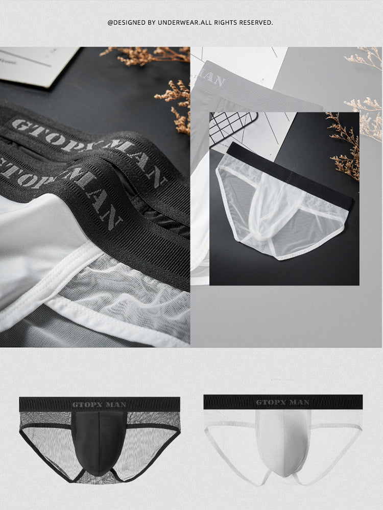 2 Pack Men's Ice Silk Semi-Transparent Mesh U-Convex Pouch Breathable Sexy Sport Briefs