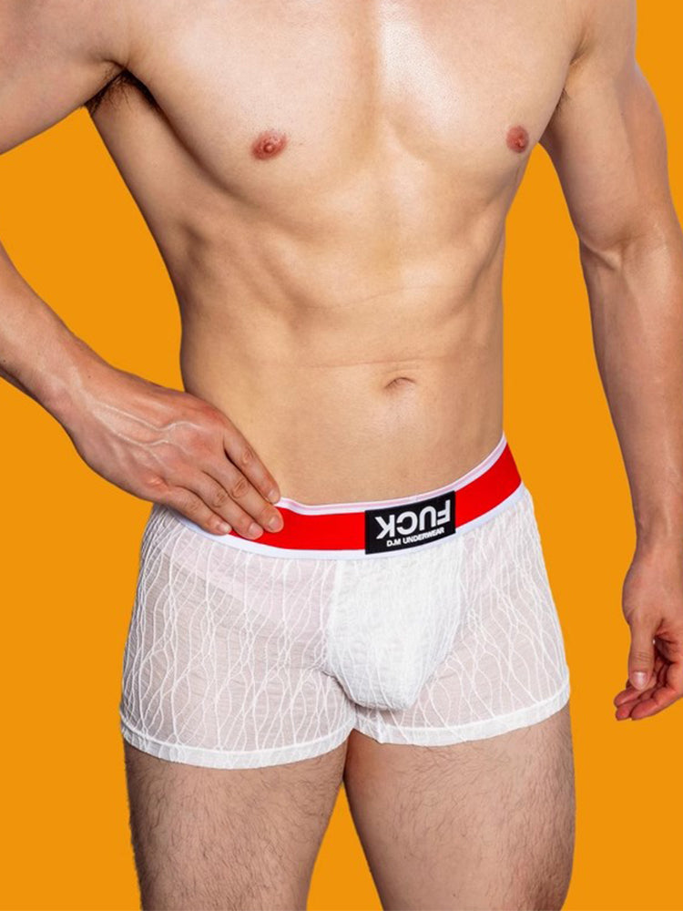 メンズ レースメッシュ 速乾性 通気性 無地トランクス 3枚組