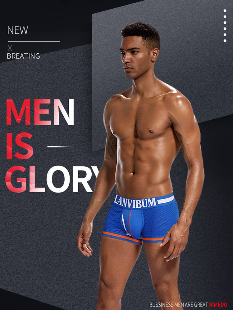 メンズ メッシュ 通気性 速乾 セクシー ナイロン トランクス 4枚組