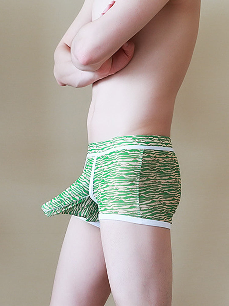 2-pack Men's Mesh Elephant Nose Transparent Boxer Briefs