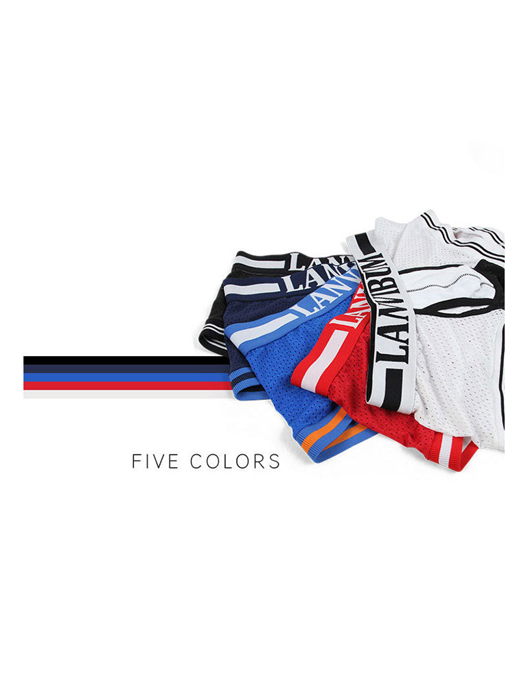 メンズ メッシュ 通気性 速乾 セクシー ナイロン トランクス 4枚組