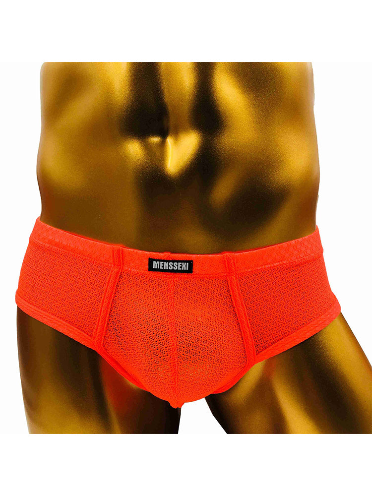 2 Pack Men's Low-Rise Lace Semi-Transparent Trunks
