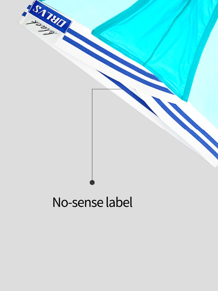 メンズセクシー半透明メッシュブリーフ2枚組
