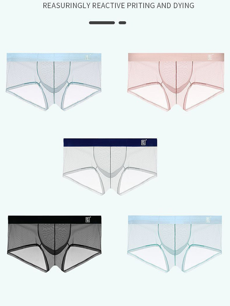 Men's Ultra-thin Low-Rise See-Through Ice Silk Briefs