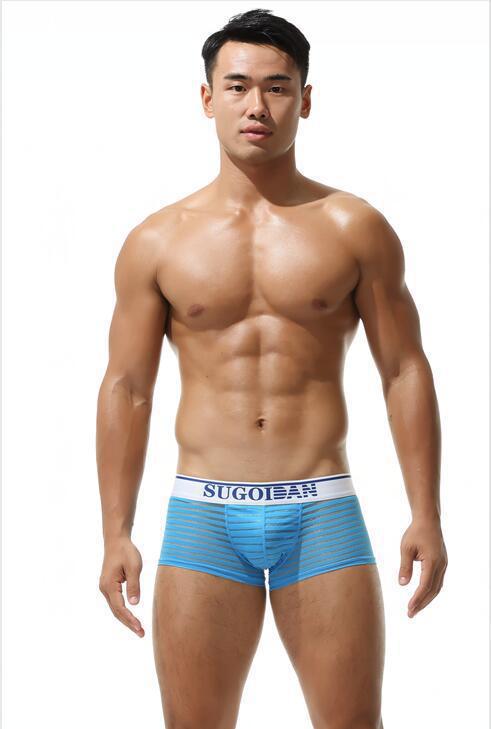 Men's Sexy Transparent Striped Trunks