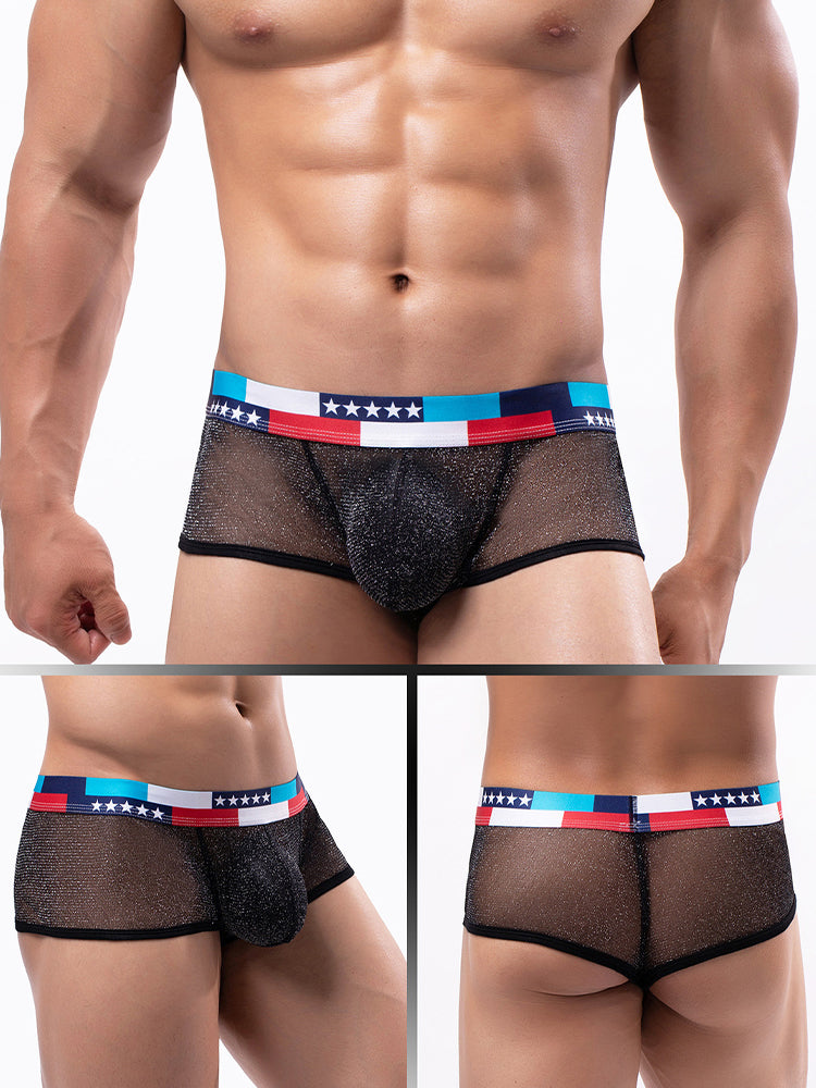 4-pack Men's Low-rise See-through Micro-mesh Pouch Shiny U-convex Wide-edge Boxer Briefs