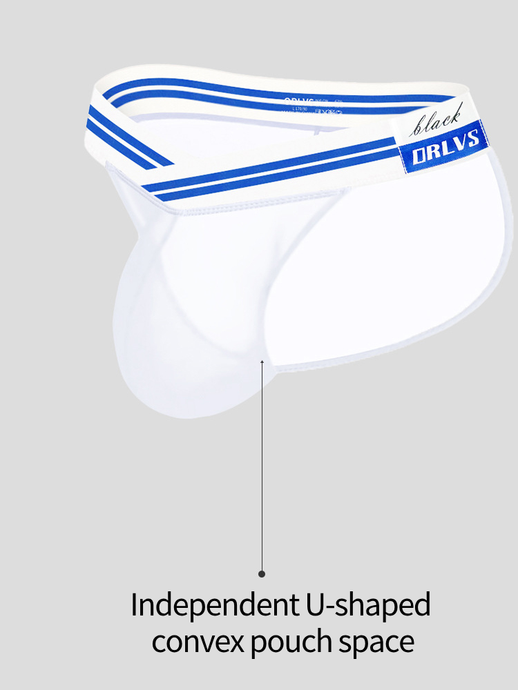 メンズセクシー半透明メッシュブリーフ2枚組