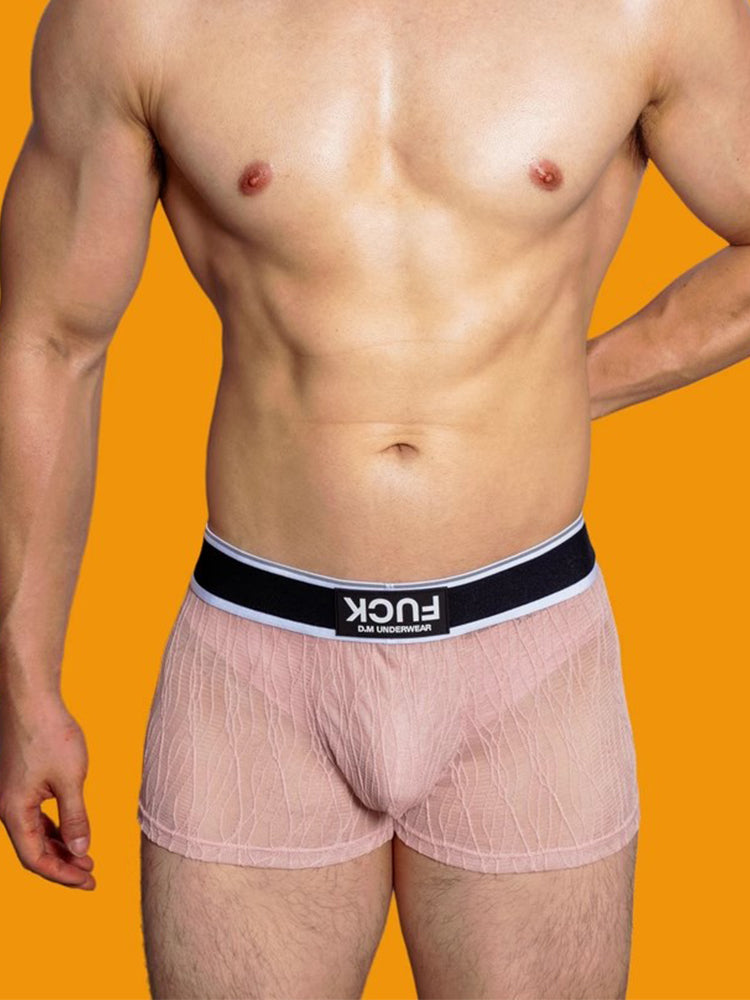 メンズ レースメッシュ 速乾性 通気性 無地トランクス 3枚組