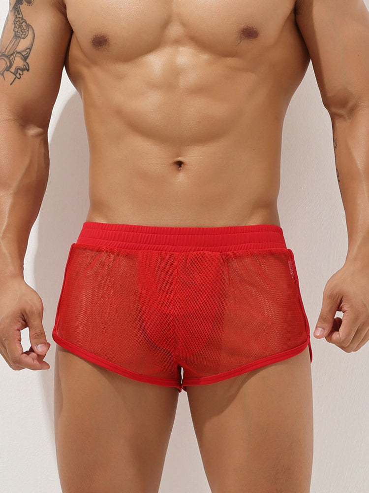 Men's Sexy See Through Mesh Boxer Shorts