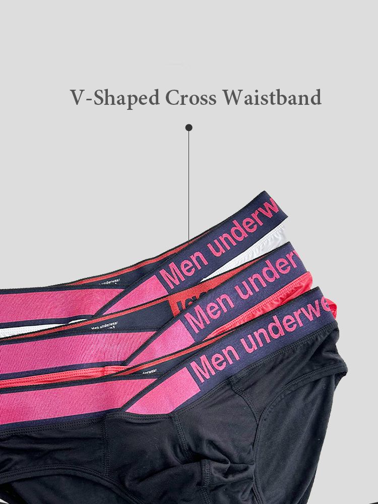 2 Pack Men's V Waistband Modal Briefs