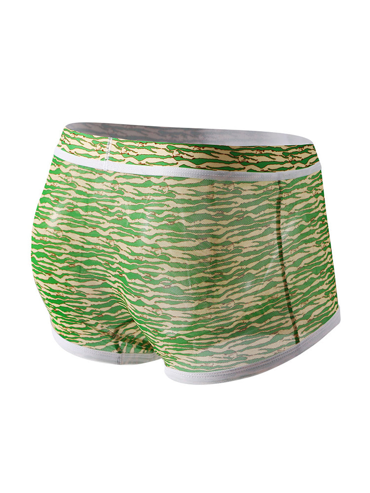 2-pack Men's Mesh Elephant Nose Transparent Boxer Briefs