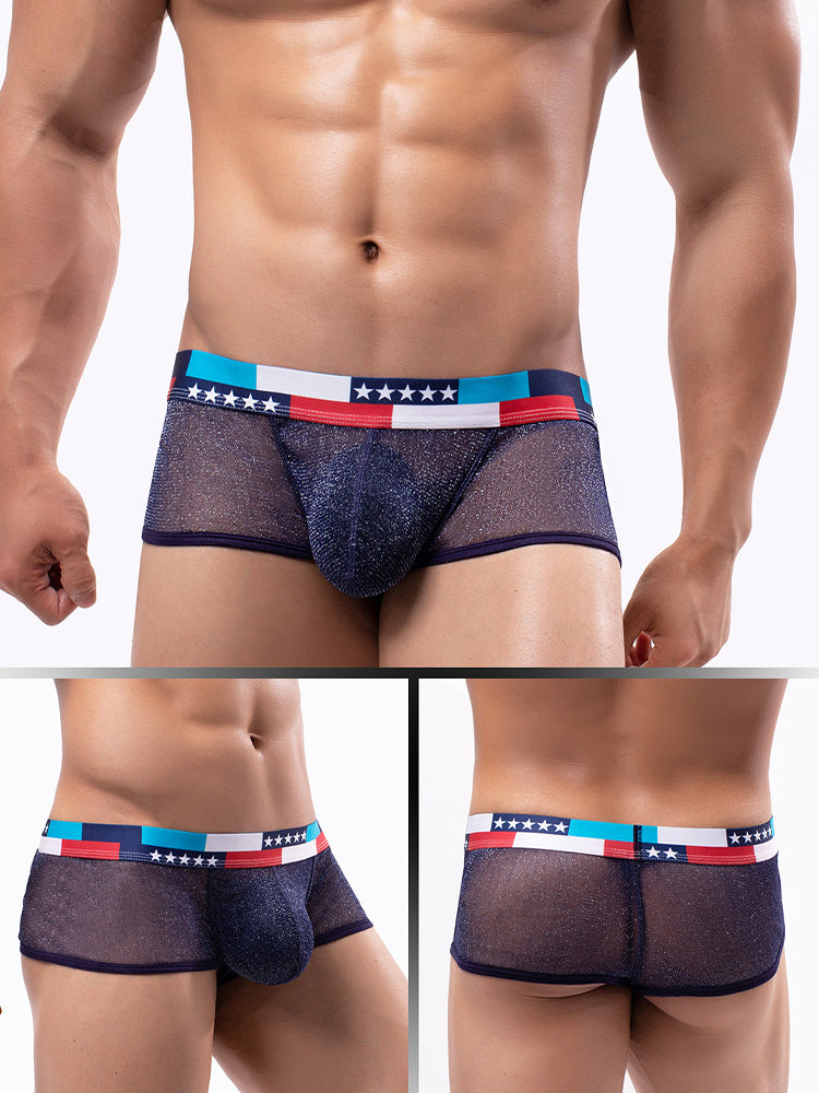 4-pack Men's Low-rise See-through Micro-mesh Pouch Shiny U-convex Wide-edge Boxer Briefs