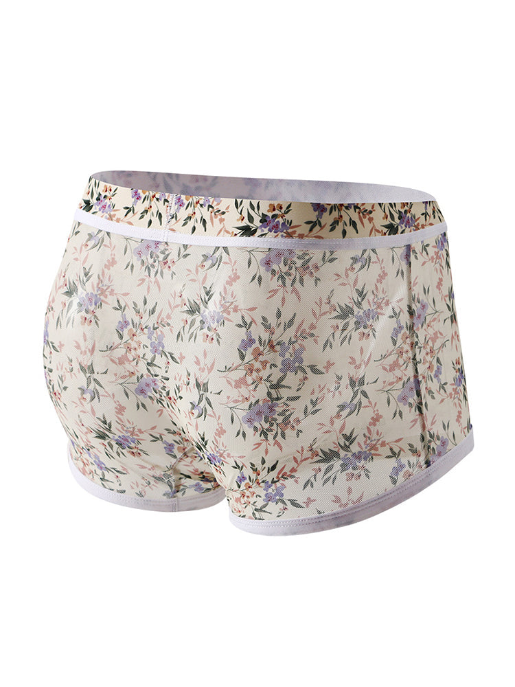 2-pack Men's Mesh Elephant Nose Transparent Boxer Briefs