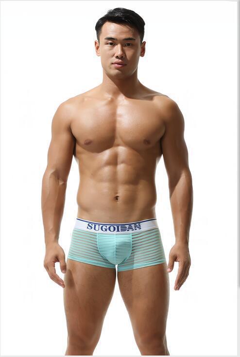 Men's Sexy Transparent Striped Trunks