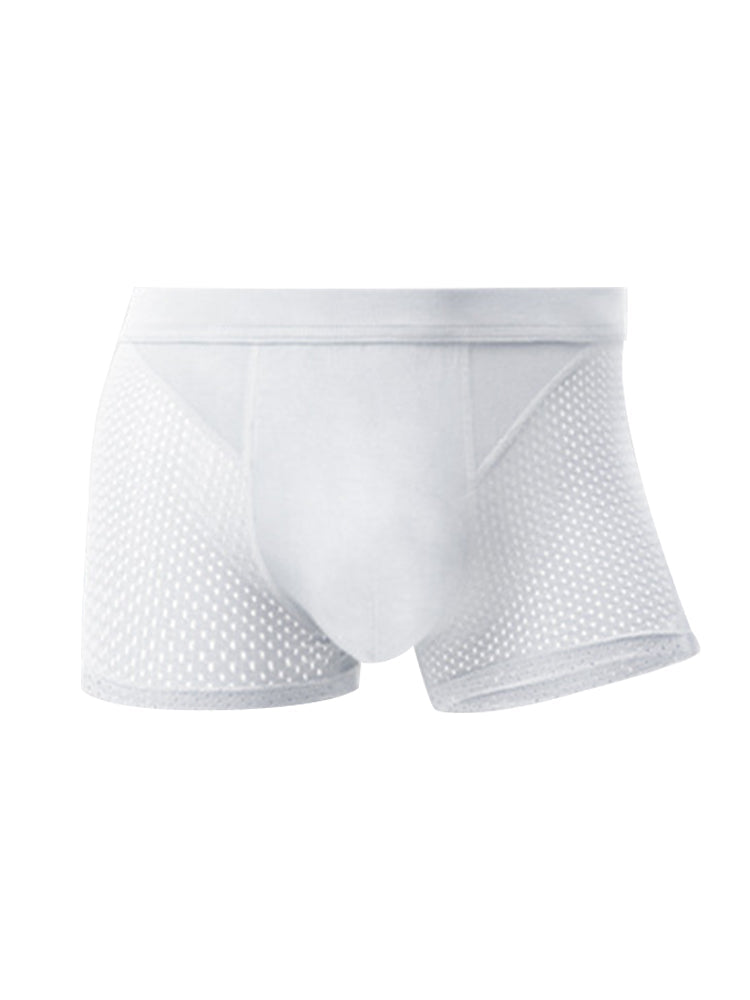 4 Pack Men's Ice Silk Cooling Mesh Trunks