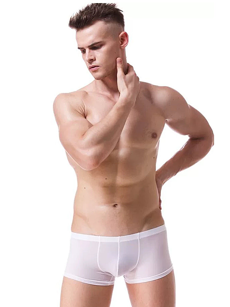 Thin Breathable Ice Silk U Convex Boxers for Men
