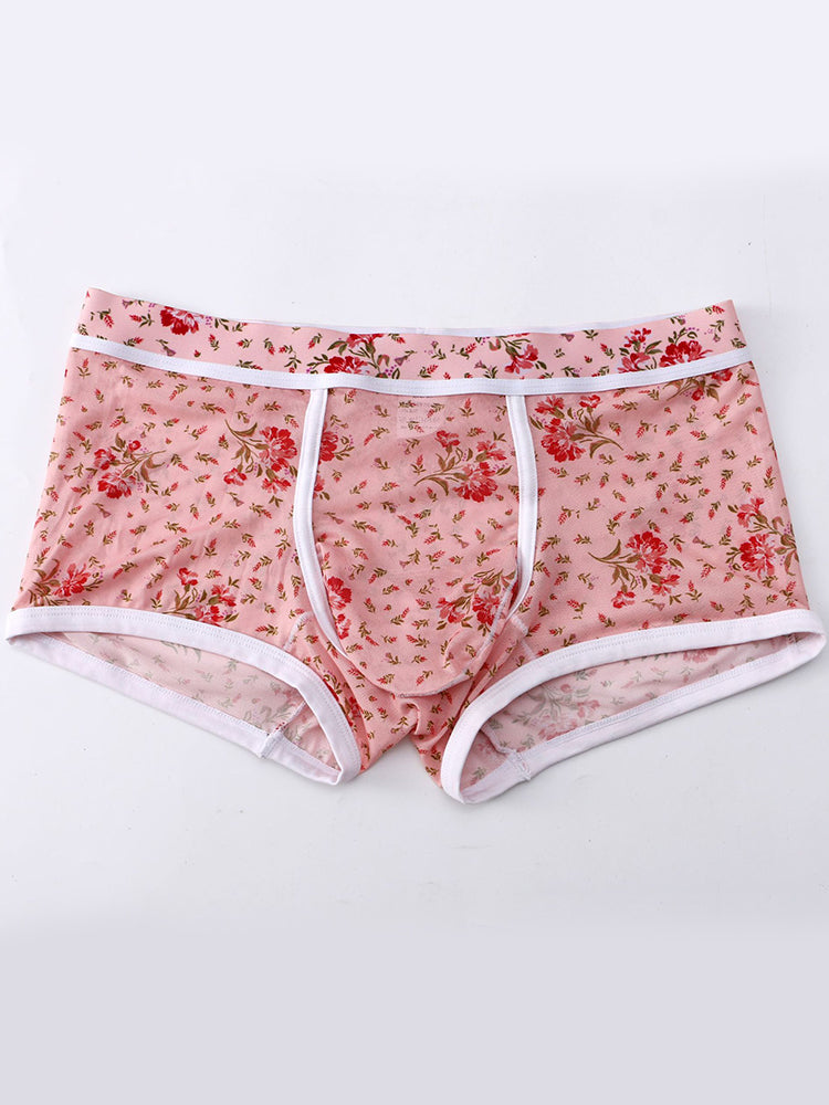 2-pack Men's Mesh Elephant Nose Transparent Boxer Briefs