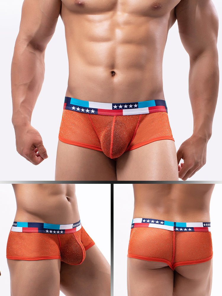4-pack Men's Low-rise See-through Micro-mesh Pouch Shiny U-convex Wide-edge Boxer Briefs
