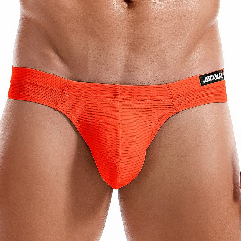 Men's Simple Breathable Mesh Pouch Bikini