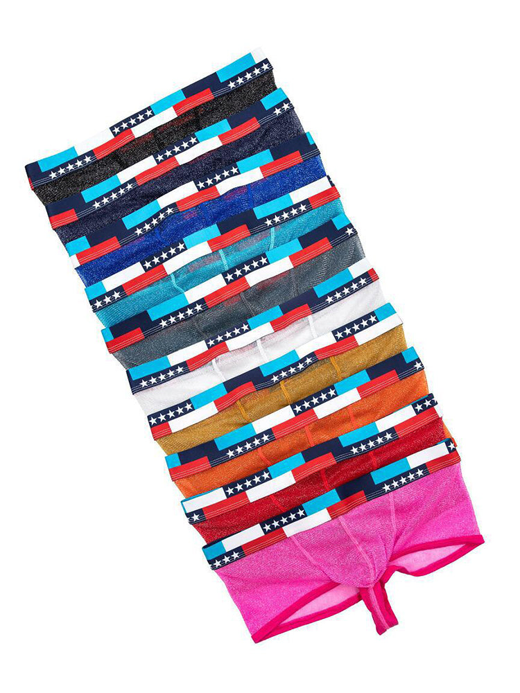 4-pack Men's Low-rise See-through Micro-mesh Pouch Shiny U-convex Wide-edge Boxer Briefs