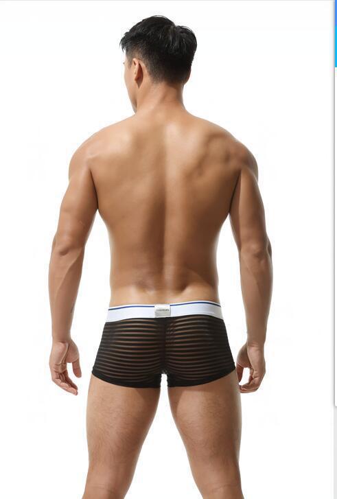 Men's Sexy Transparent Striped Trunks