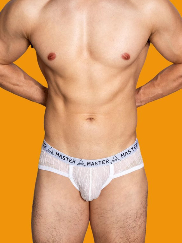 2 Pack Men's Low-Rise Sexy Lace U-Pouch Briefs