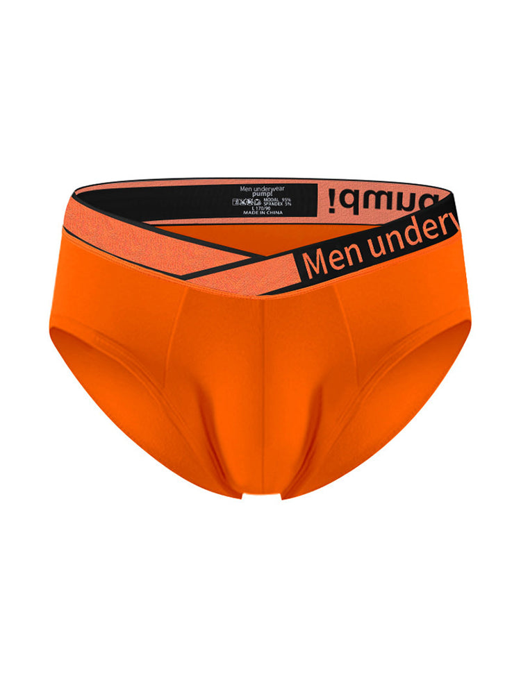 2 Pack Men's Stylish V-Shaped Waistband Briefs