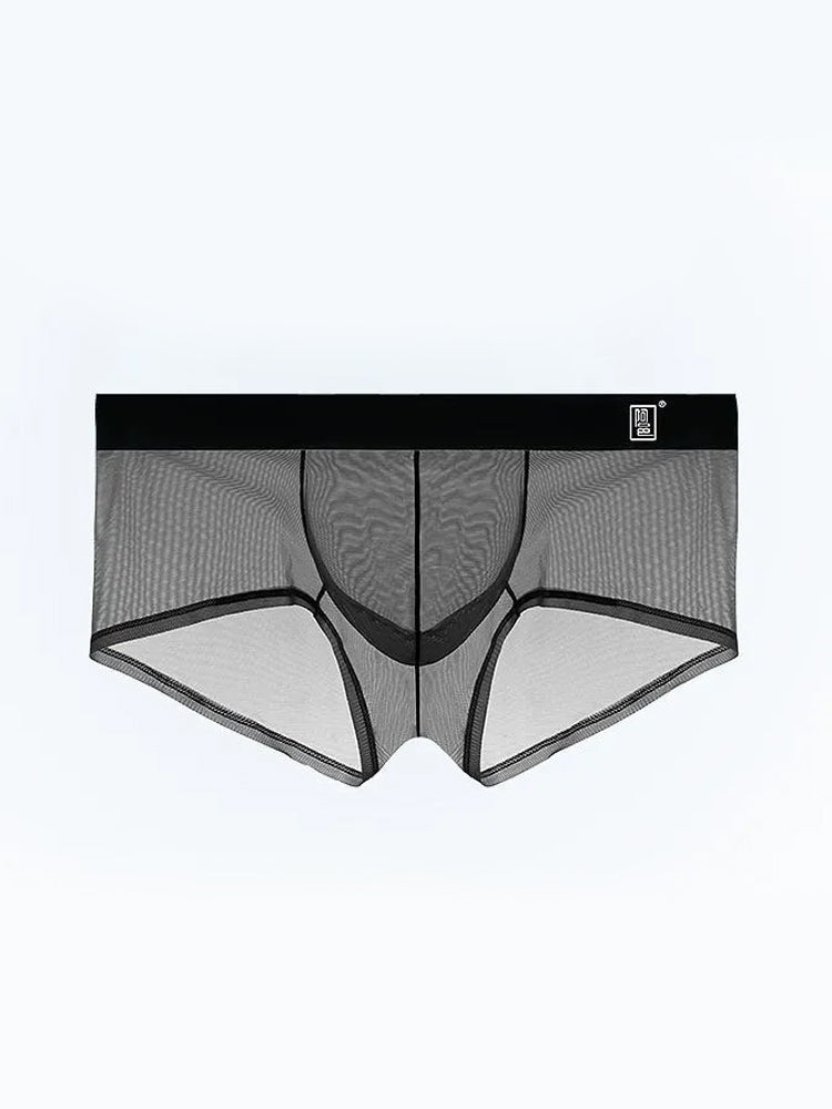 Men's Ultra-thin Low-Rise See-Through Ice Silk Briefs