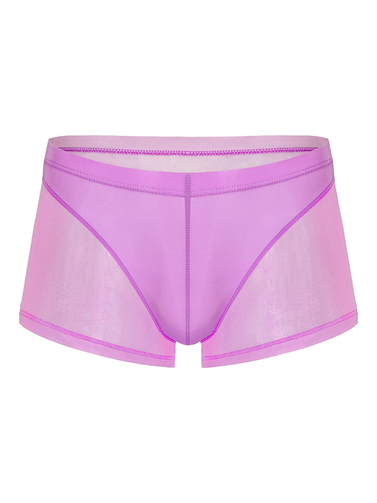 Sexy Panelled Mesh Trunks For Men