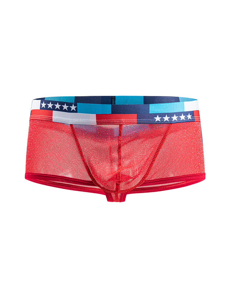 4-pack Men's Low-rise See-through Micro-mesh Pouch Shiny U-convex Wide-edge Boxer Briefs